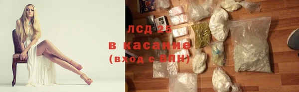 прущие грибы Зеленодольск