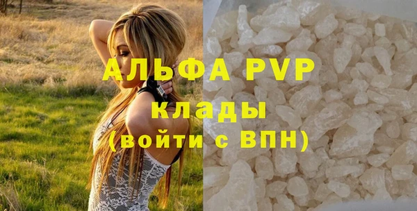 прущие грибы Зеленодольск