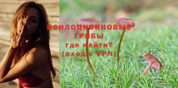 прущие грибы Зеленодольск