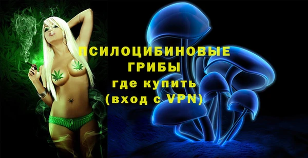 прущие грибы Зеленодольск